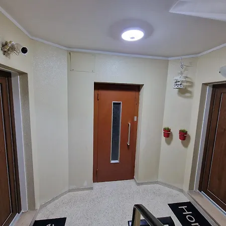 Pretty Flat With Terrace, Air Cond, Free Parking, By Porto With Love Lda Exterior photo